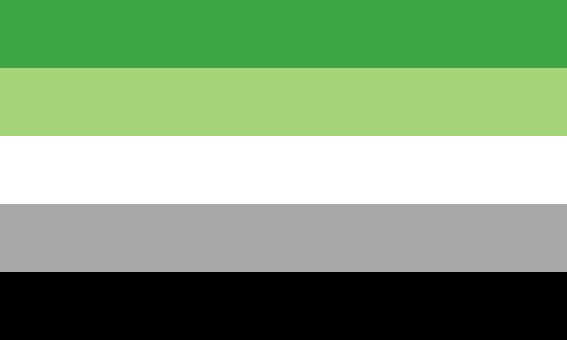 Pride Flag Guide Aromantic Librarylgbt 