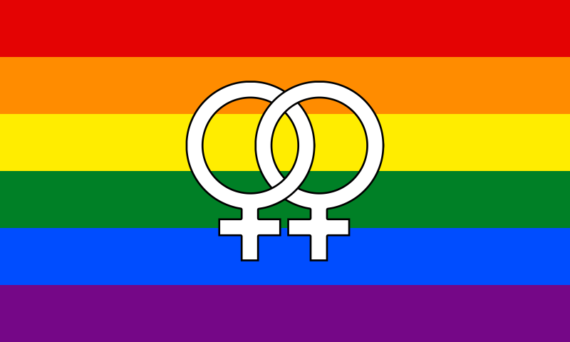 Pride Flag Guide Lesbian Rainbow Design Library Lgbt