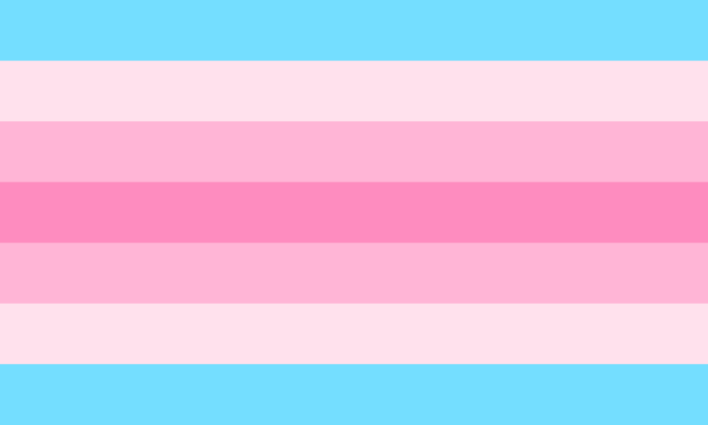 Pride Flag Guide: Transfeminine | Library.LGBT