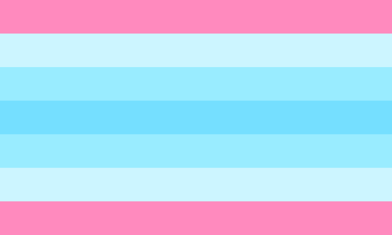 Pride Flag Guide Transmasculine Library Lgbt